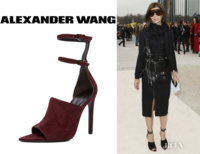Carine-Roitfelds-Alexander-Wang-Nikola-Mule-Double-Strap-Ankle-Pumps.jpg