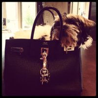 ImageUploadedByPurseForum1364746505.254545.jpg