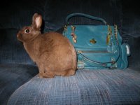 Honeybunny_Sydney_Easter2013_009.jpg