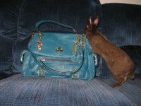 Honeybunny_Sydney_Easter2013_010.jpg
