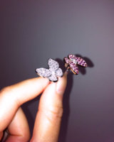 Butterfly w:flash.jpg