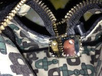 ImageUploadedByPurseForum1364830797.686368.jpg