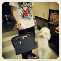birkin.jpg