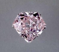 hortensiadiamond2.jpg