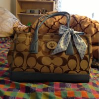 ImageUploadedByPurseForum1364909491.165103.jpg