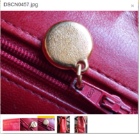 Red - Zipper back.png