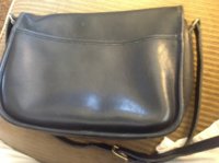 ImageUploadedByPurseForum1365192991.136241.jpg