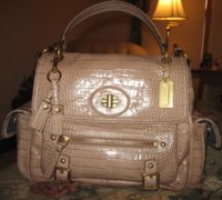 Sydney Embossed Pearl Croc 14615.JPG