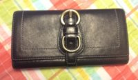 ImageUploadedByPurseForum1365558710.587562.jpg