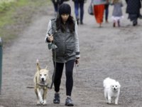 Jenna+Dewan+Tatum+Takes+Baby+Bump+Dogs+Walk+m5cAcCVjOW_l.jpg