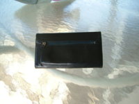 DSCF9029.JPG