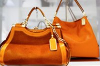ImageUploadedByPurseForum1366163572.436595.jpg