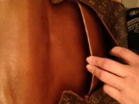 ImageUploadedByPurseForum1366164937.109317.jpg