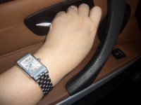 REVERSO IN ACTION.jpg