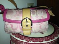 ImageUploadedByPurseForum1366215593.548576.jpg