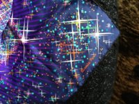 ImageUploadedByPurseForum1366377883.850414.jpg