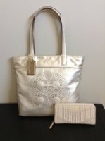 ImageUploadedByPurseForum1366673256.740332.jpg
