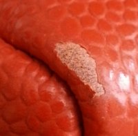 20130424_123158_1-hires.jpg