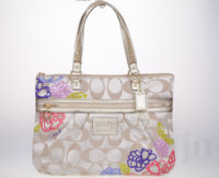 COACH_Daisy Applique_Brass_Multicolor_front.jpg
