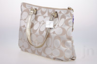 COACH_Daisy Applique_Brass_Multicolor_side.jpg