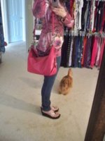 ImageUploadedByPurseForum1367550034.344994.jpg
