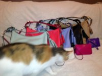 ImageUploadedByPurseForum1367887435.625525.jpg