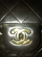 ImageUploadedByPurseForum1368290781.257290.jpg