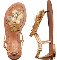 ImageUploadedByPurseForum1368927854.423893.jpg