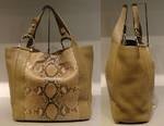 ImageUploadedByPurseForum1369189514.401559.jpg