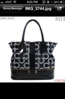 ImageUploadedByPurseForum1369271033.082089.jpg
