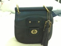 ImageUploadedByPurseForum1369299079.933862.jpg