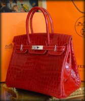 Birkin 2.jpg Birkin 2.jpg