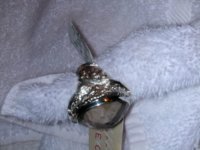 DSCN0661.JPG