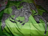 hermes zebra scarf.JPG