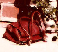 my coach purse012.jpg