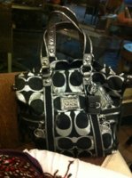 ImageUploadedByPurseForum1369664859.051952.jpg