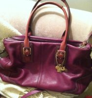 ImageUploadedByPurseForum1369795965.794509.jpg