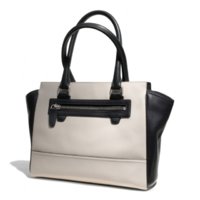 ImageUploadedByPurseForum1369955790.318339.jpg