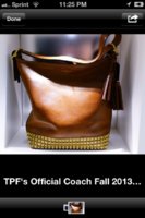 ImageUploadedByPurseForum1369971222.693885.jpg
