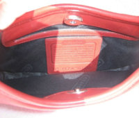 6102_Ergo Satin Satchel-A-plant-a.JPG