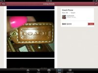 ImageUploadedByPurseForum1370320787.724213.jpg