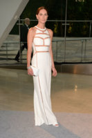 Erin Wasson Wearing Alexander Wang at the 2013 CFDA Fashion Awards at Alice Tully Hall in NYC on.jpg