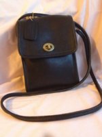 ImageUploadedByPurseForum1370407342.196278.jpg