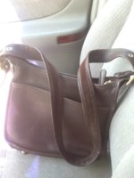 ImageUploadedByPurseForum1370626611.137475.jpg