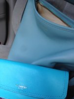 ImageUploadedByPurseForum1370640407.626844.jpg