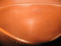 IMG_3119.JPG