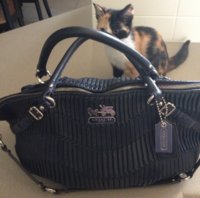 ImageUploadedByPurseForum1371170752.990266.jpg