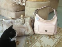 ImageUploadedByPurseForum1371216842.848824.jpg
