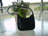 DSCF9093.JPG