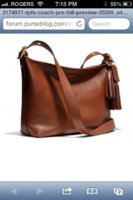 ImageUploadedByPurseForum1371304969.936419.jpg